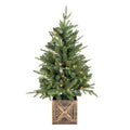 Christmas Wilson Porch Pine3 ft.,  50 M4 LED Lights, 8 in. Square Base Width.