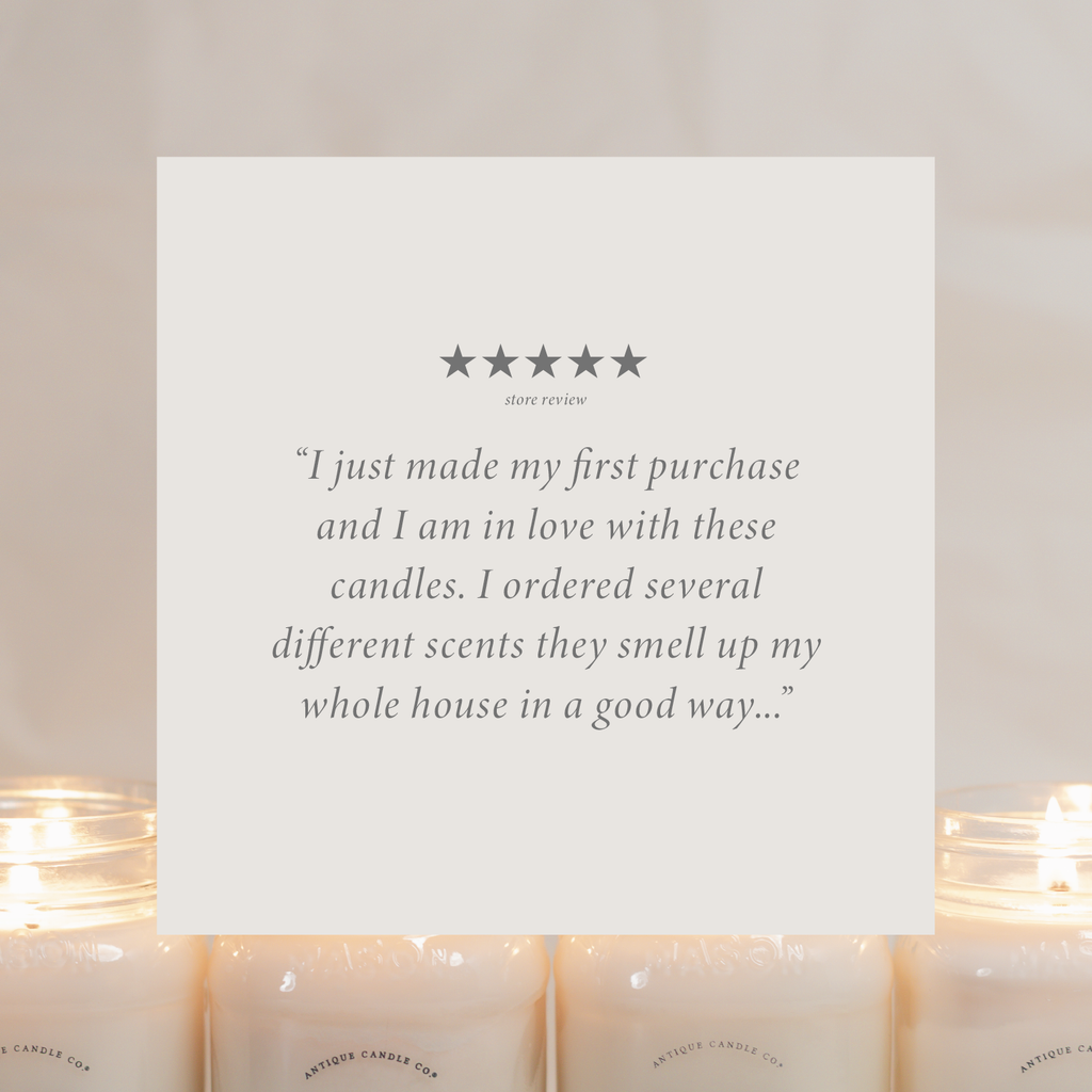 Vanilla Sugar Cookie 16 oz candle