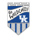 KY Dots and Stripes Flag