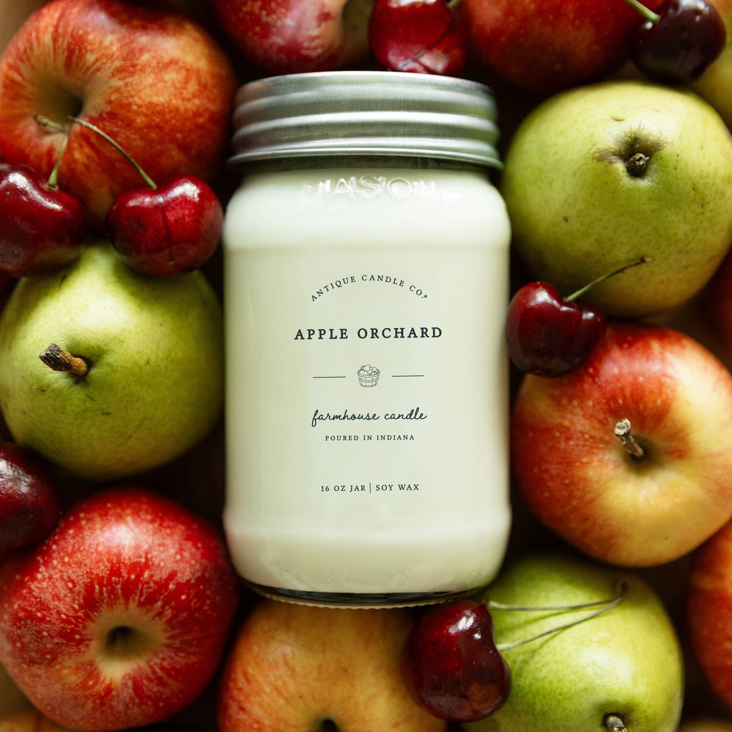 Apple Orchard - Soy Candle