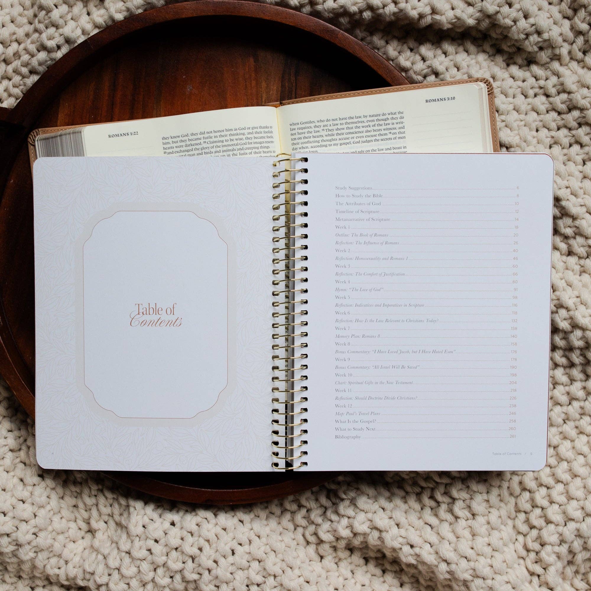 In Christ Alone: A Study on the Book of Romans