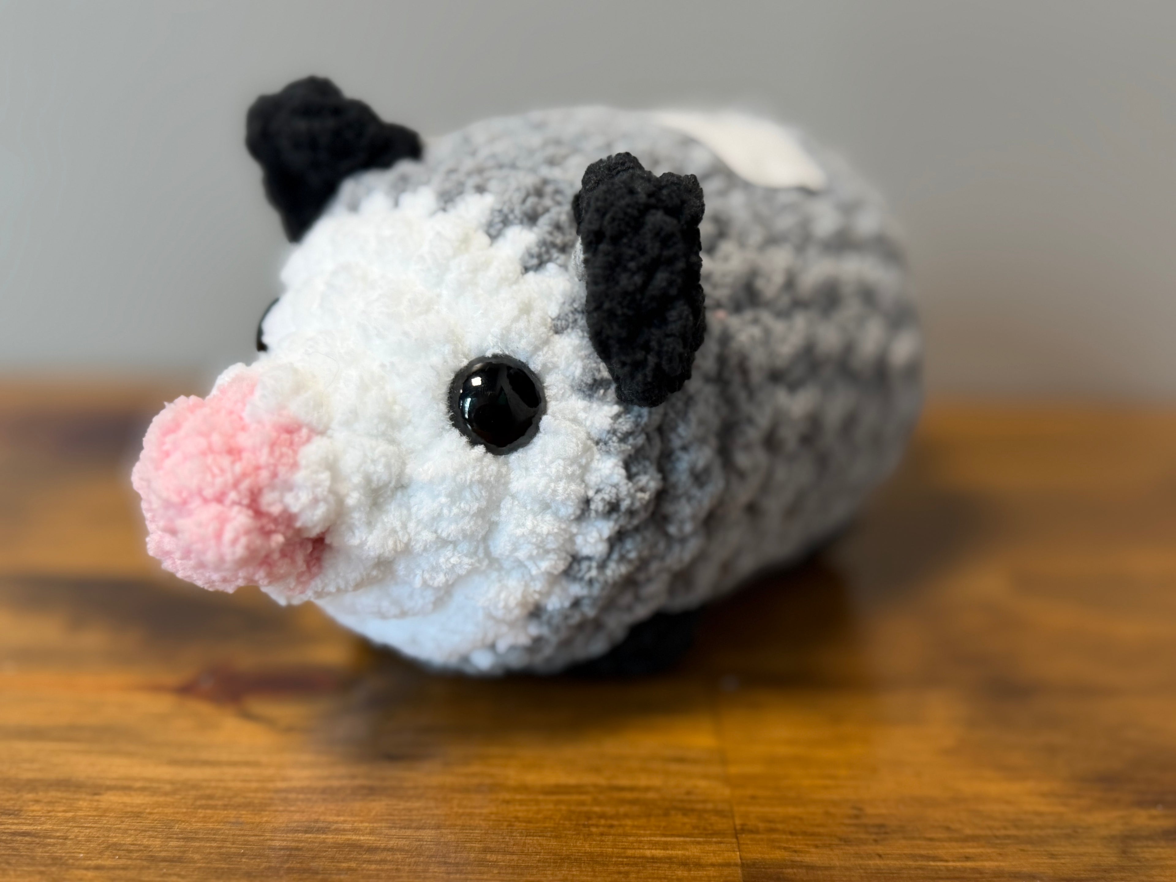 Possum