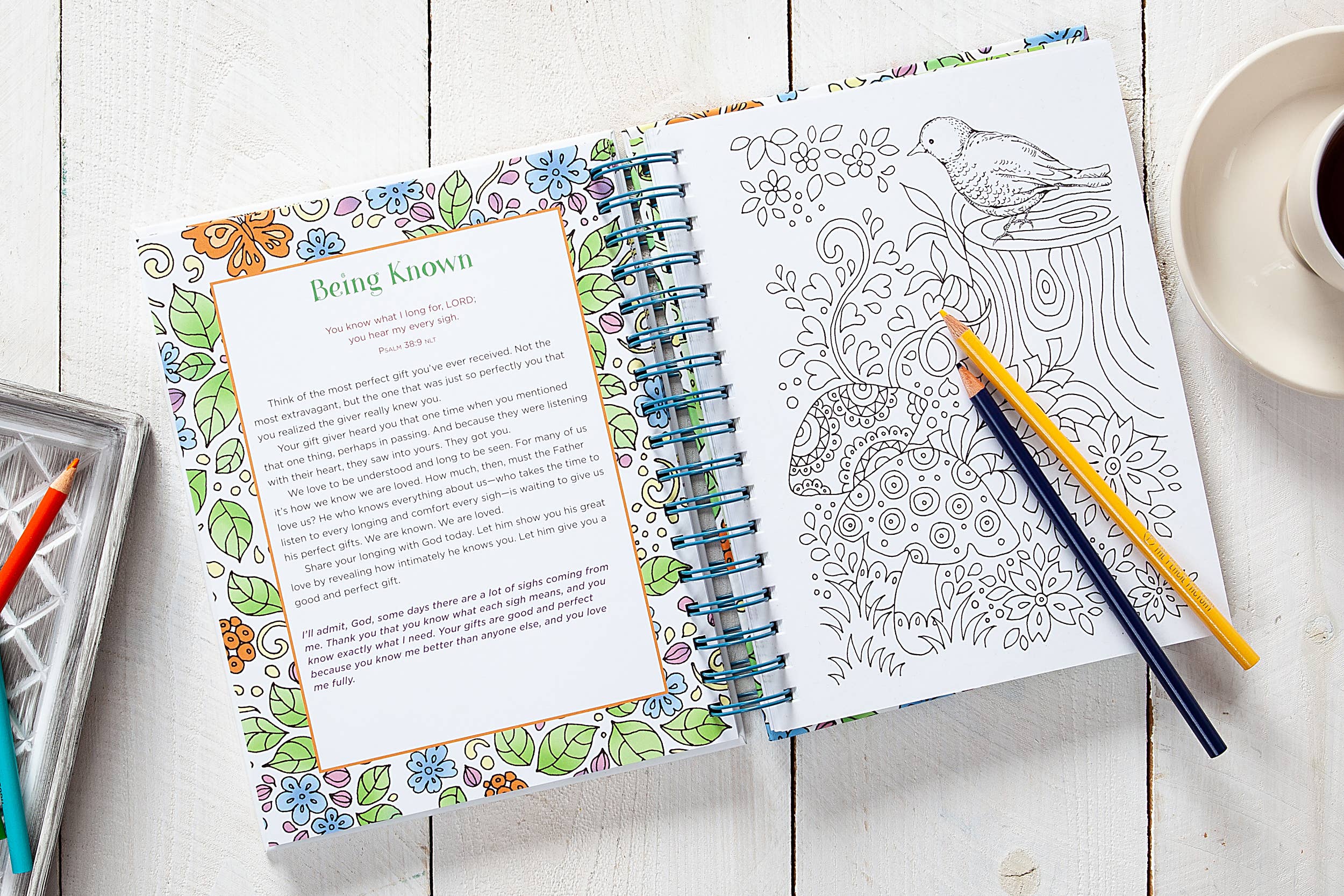 A Little God Time for Women (Devotional Coloring Book)