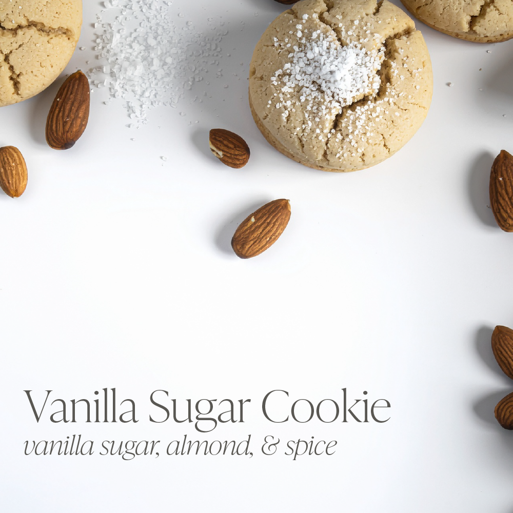 Vanilla Sugar Cookie 16 oz candle