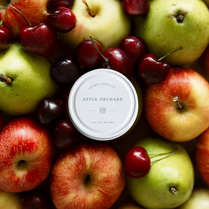 Apple Orchard - Soy Candle