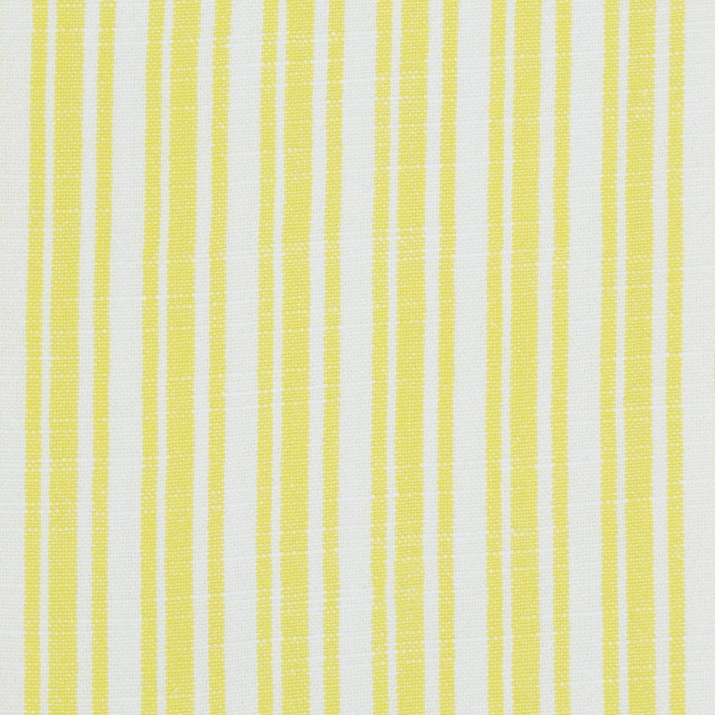 Lemon Grove Assorted Dishtowels- PDQ