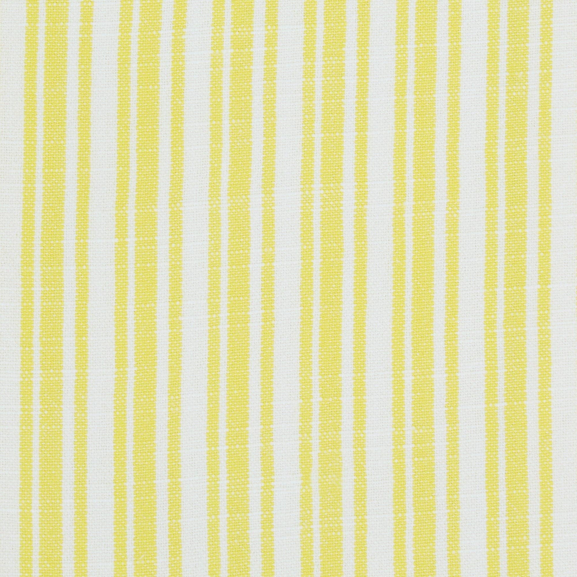 Lemon Grove Assorted Dishtowels- PDQ