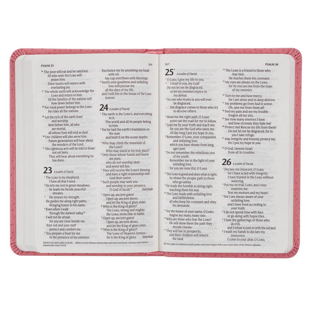 Bible NLT Infant New Testament Faux leather, Pink