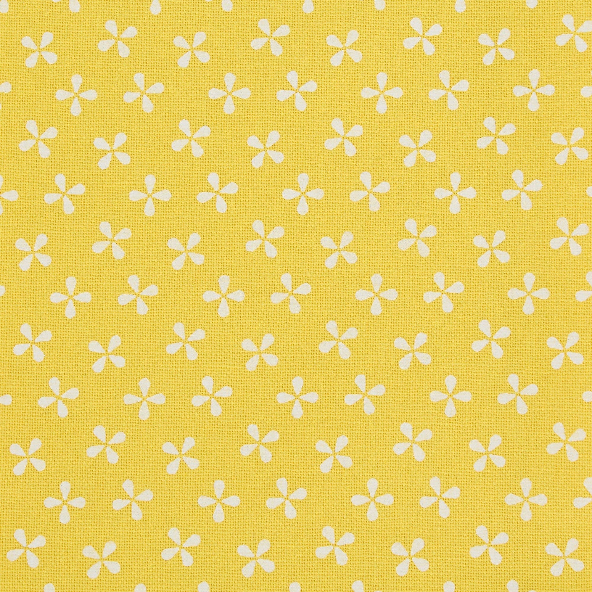 Lemon Grove Assorted Dishtowels- PDQ